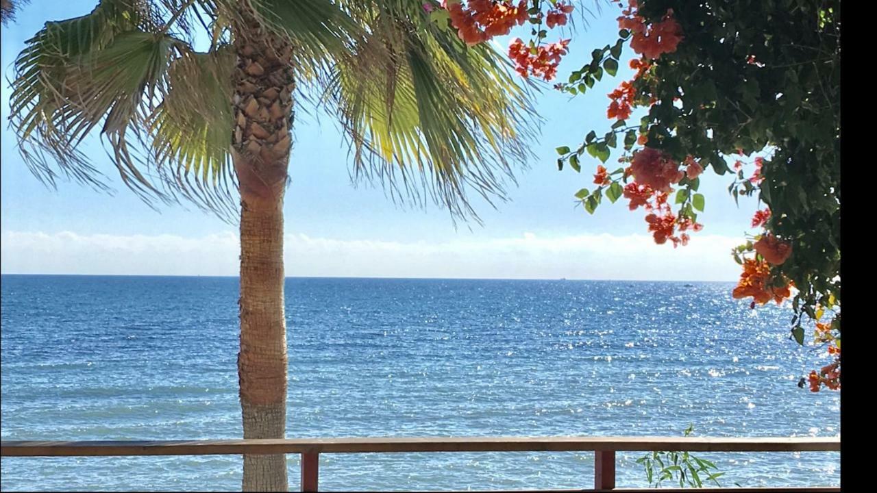 Mi Capricho A16 Beachfront Apartment Sitio de Calahonda Екстериор снимка